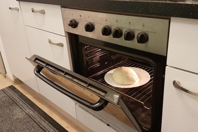 Can You Put Ceramic Plate in Oven